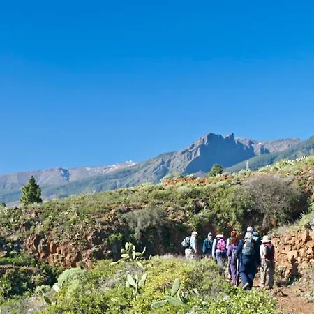 Séjour chez l'habitant Vacacional Madre Amada En Candelaria