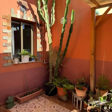 Casa Madre Amada *